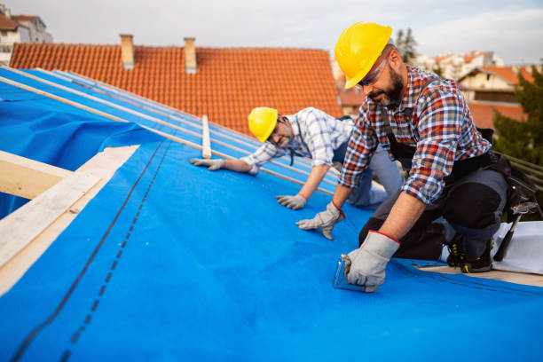 Best Metal Roofing Contractor  in Peshtigo, WI